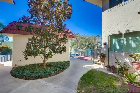 a view of a backyard