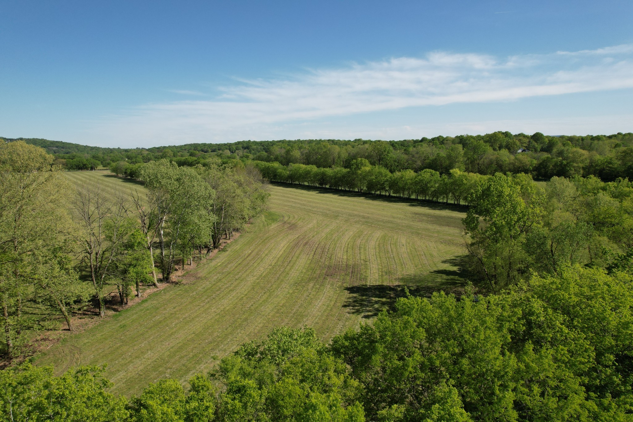 3 Trinity Road Franklin, TN 37067 - Photo 1 of 19 a view of a lake with a yard