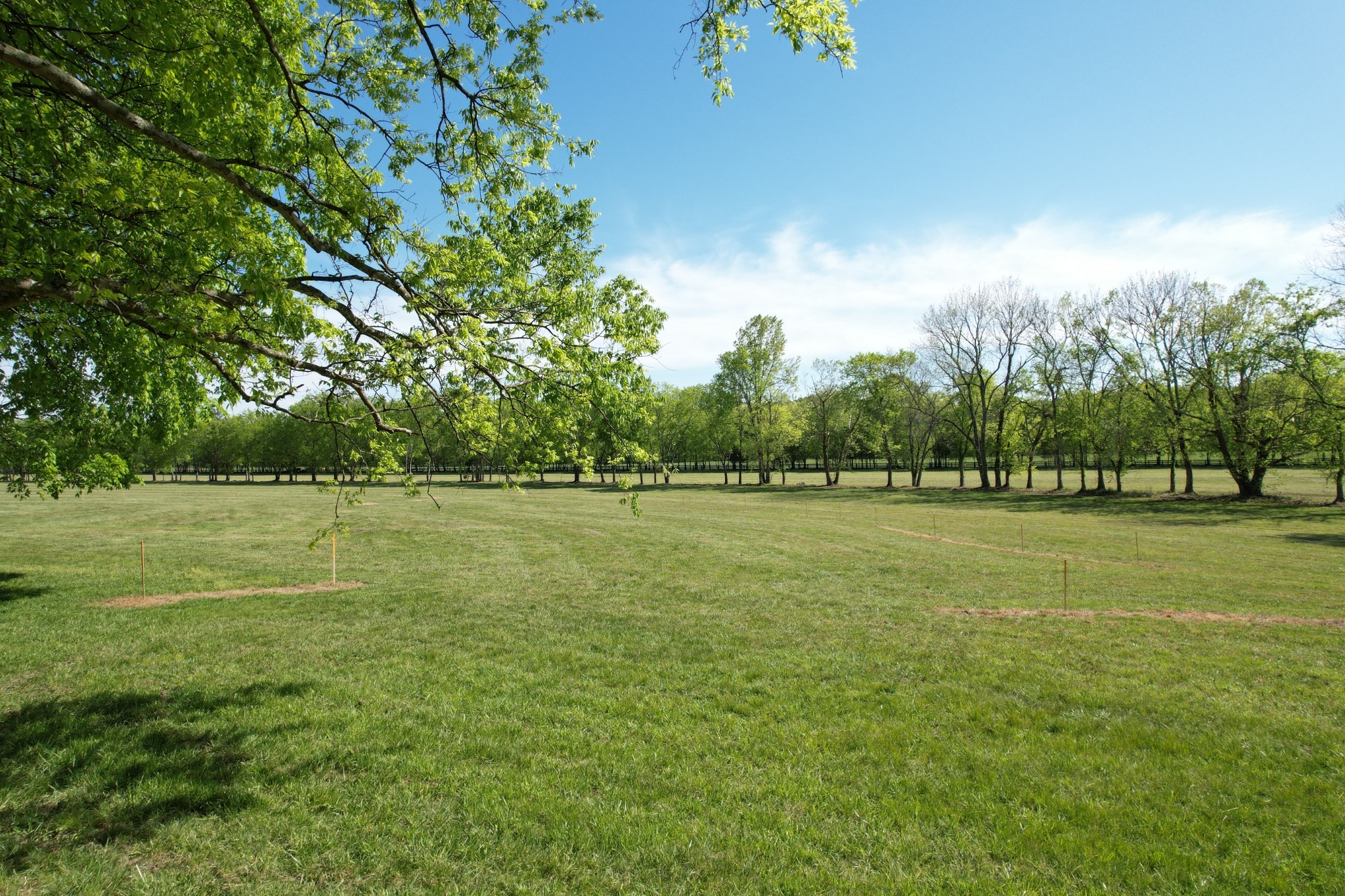 3 Trinity Road Franklin, TN 37067 - Photo 2 of 19 a view of a green field