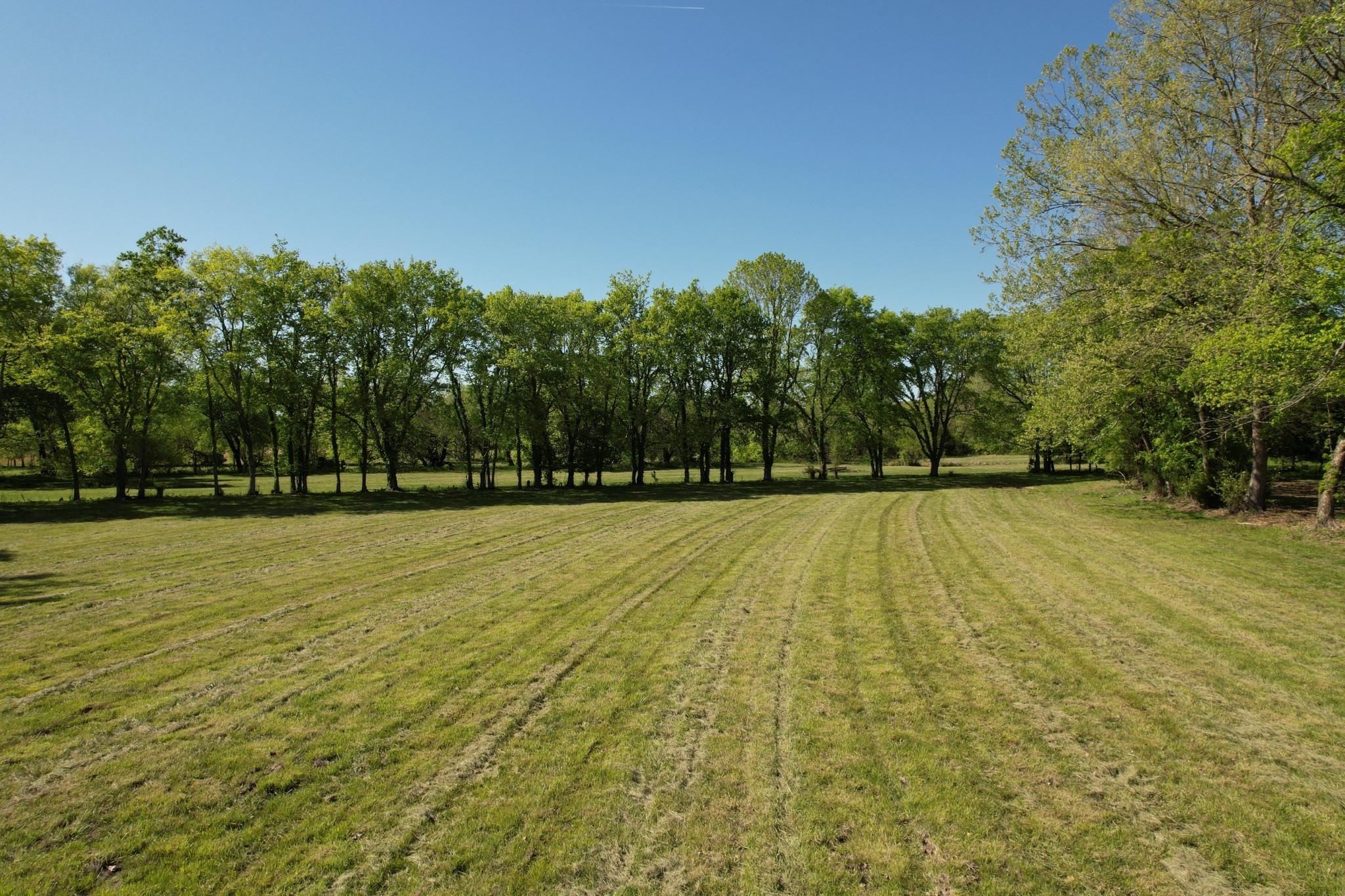 3 Trinity Road Franklin, TN 37067 - Photo 4 of 19 a view of swimming pool