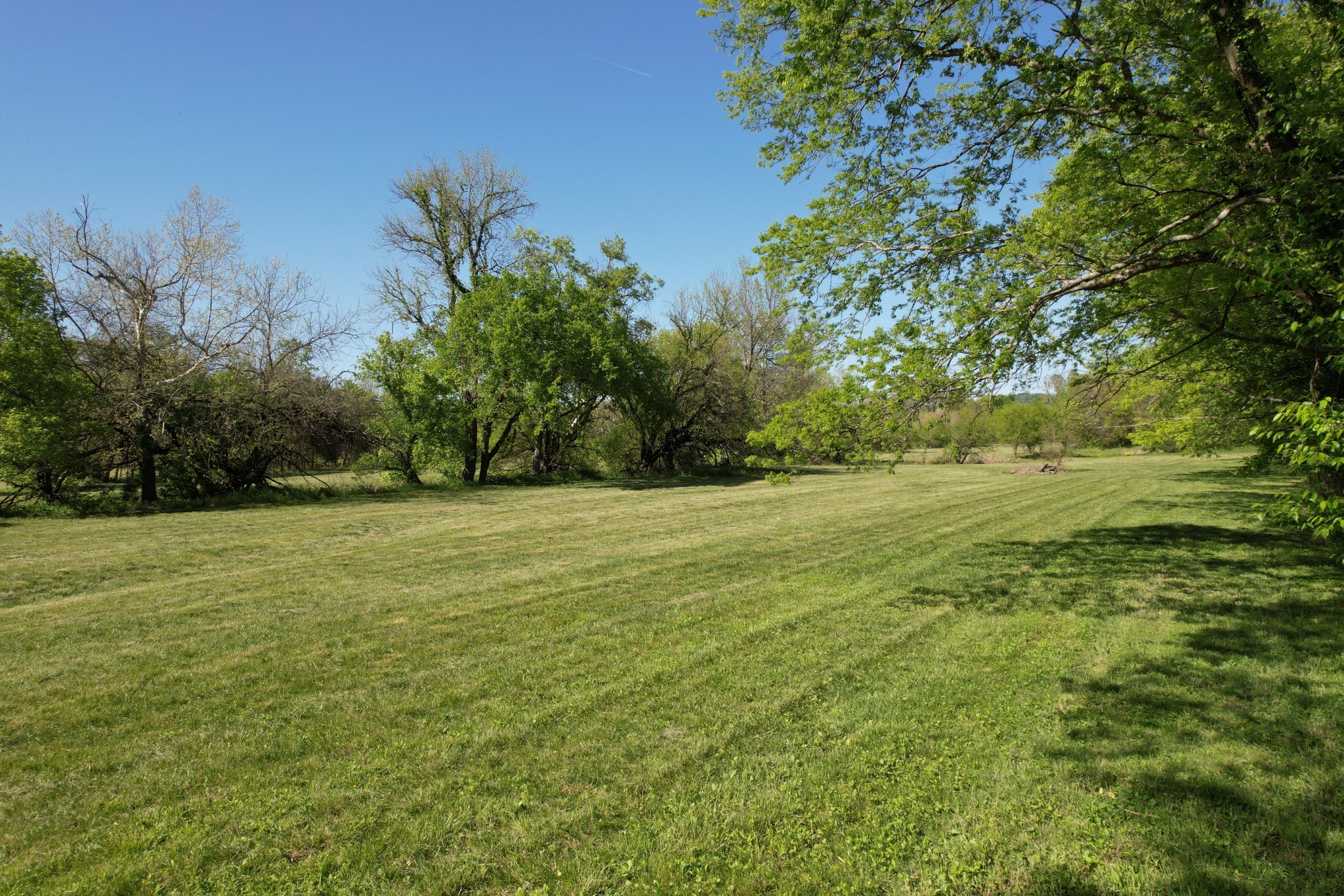 3 Trinity Road Franklin, TN 37067 - Photo 5 of 19 a view of a field with trees