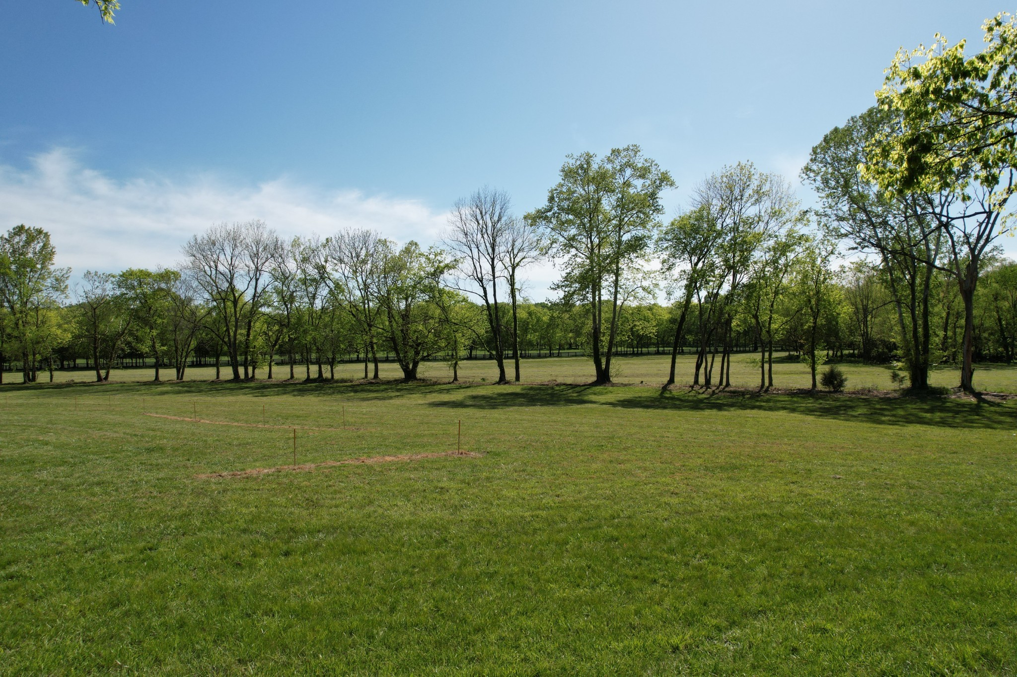 3 Trinity Road Franklin, TN 37067 - Photo 6 of 19 a view of a park with large trees