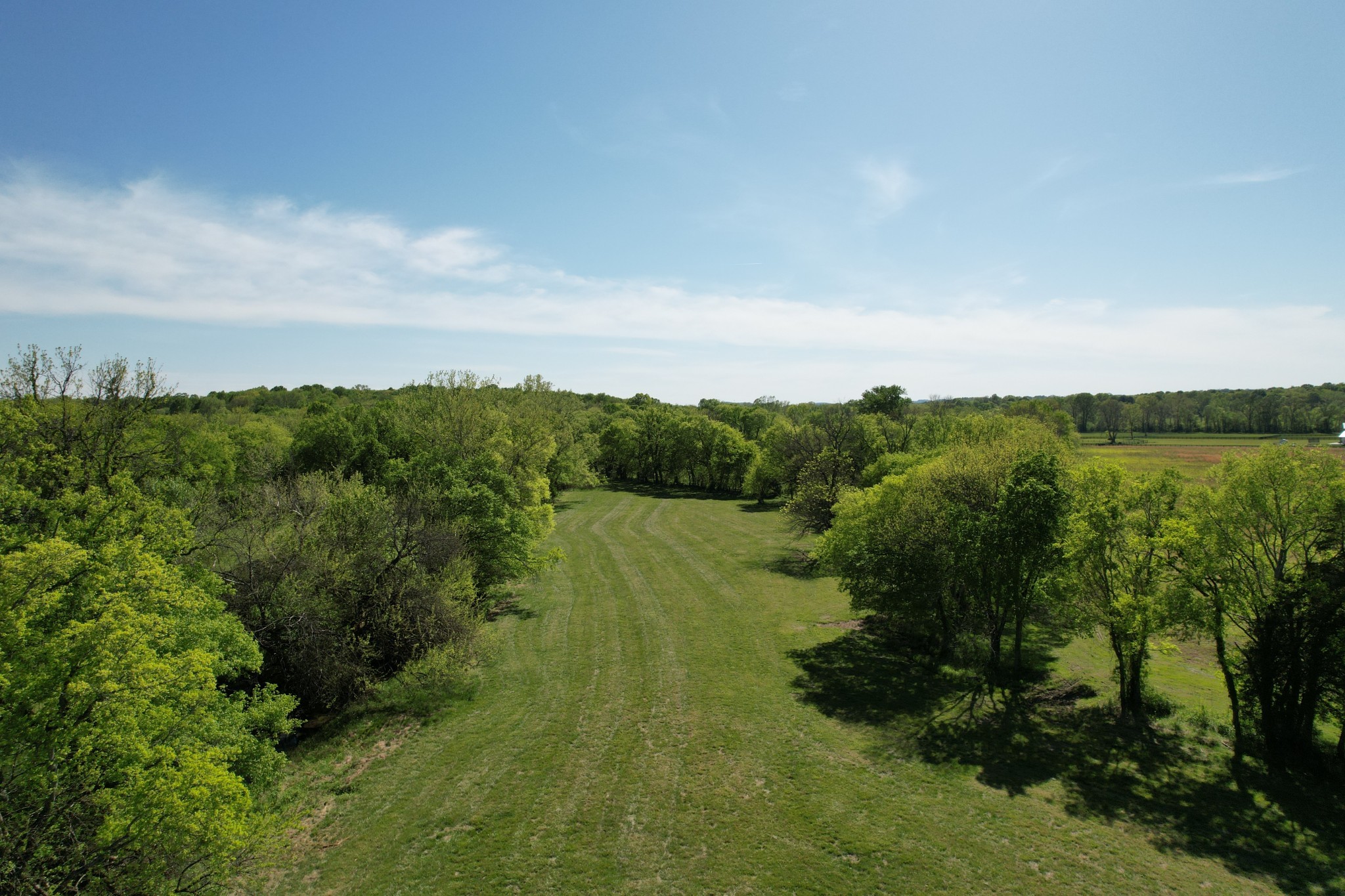 3 Trinity Road Franklin, TN 37067 - Photo 9 of 19 a view of a green field with lots of bushes