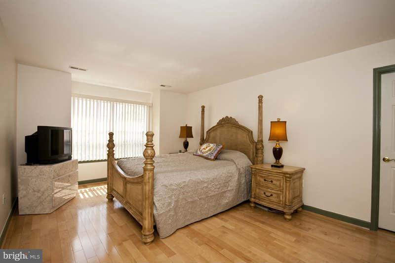9710 Watts Road Owings Mills, MD 21117 - Photo 18 of 24 Bedroom (Master)