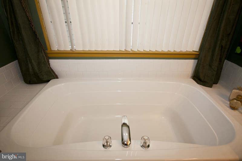 9710 Watts Road Owings Mills, MD 21117 - Photo 20 of 24 Bath (Master)