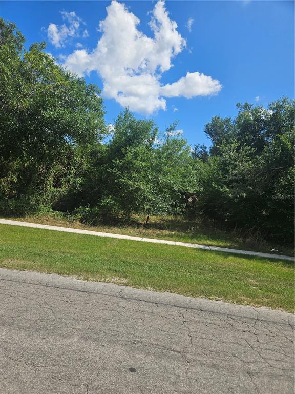 East Gibson Street Arcadia, FL 34266 - Photo 3 of 5 a view of a big yard with swimming pool and green space