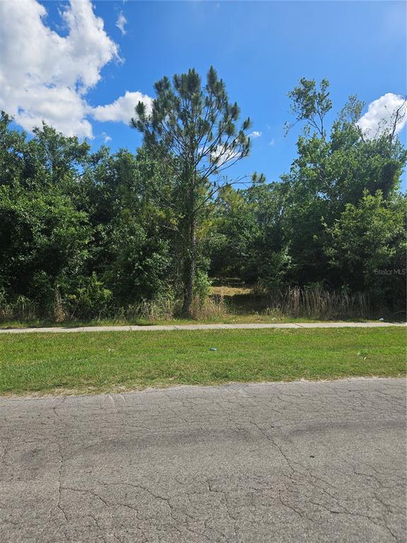 East Gibson Street Arcadia, FL 34266 - Photo 5 of 5 a view of a house and a big yard
