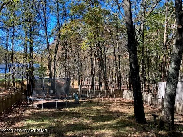 a view of a park with large trees