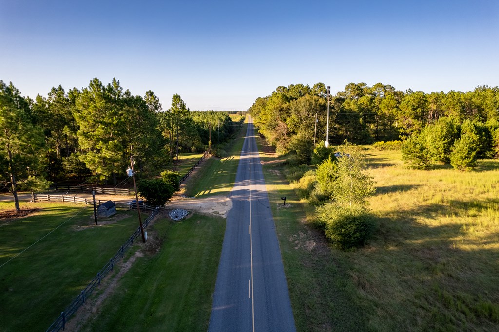 2226 Randall Wade Road Headland, AL 36345 - Photo 41 of 60