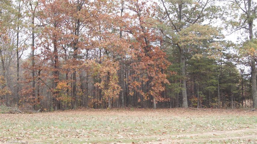 2178 Philpott Road Stoneville, NC 27048 - Photo 14 of 17 Gallery Image 14