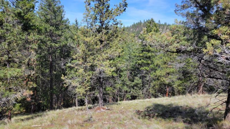 1315 Lofton Creek Road Prineville, OR 97754 - Photo 46 of 61 image000002
