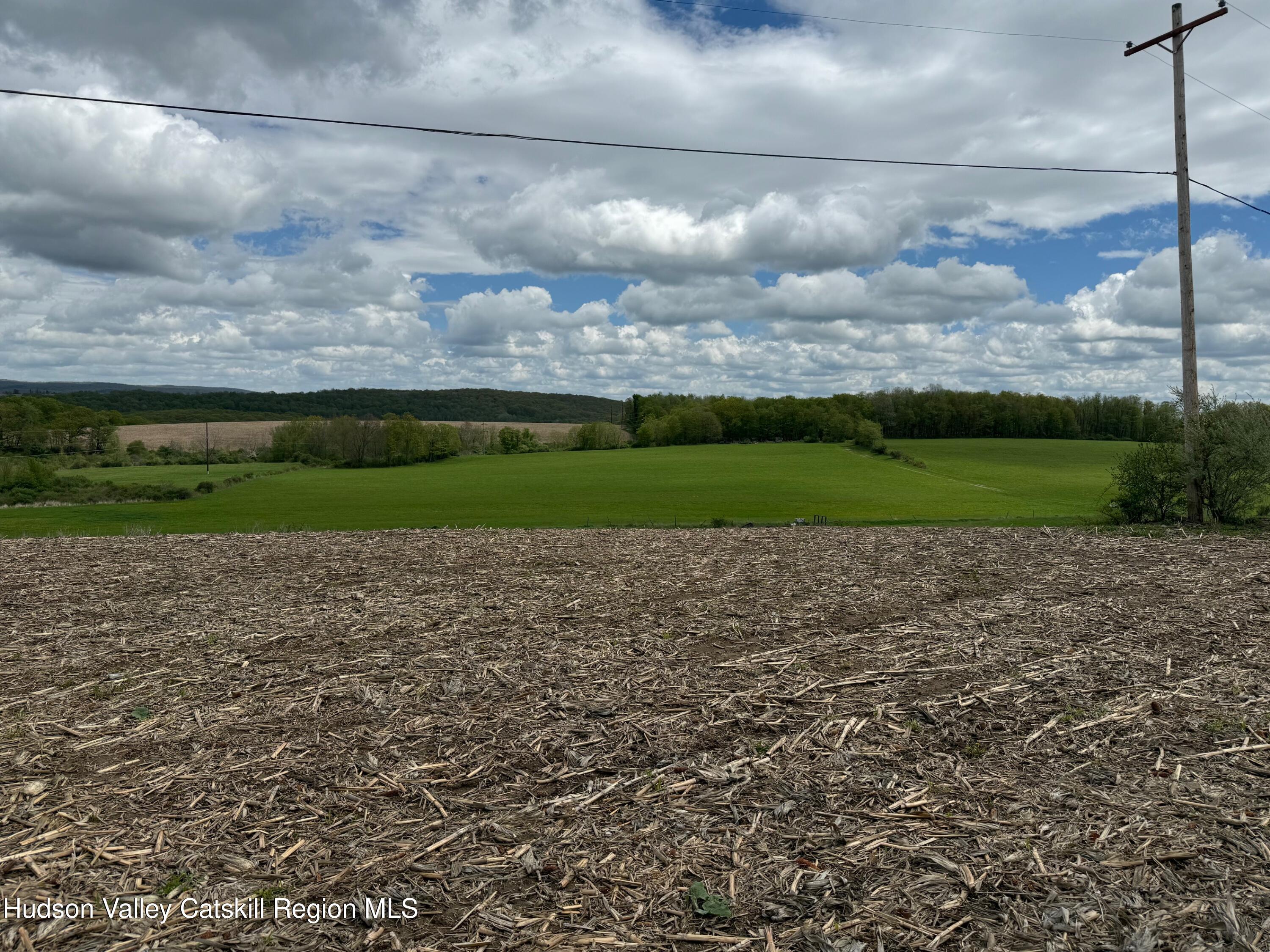 317 Skunks Misery Road Millerton, NY 12546 - Photo 12 of 16 IMG_9522