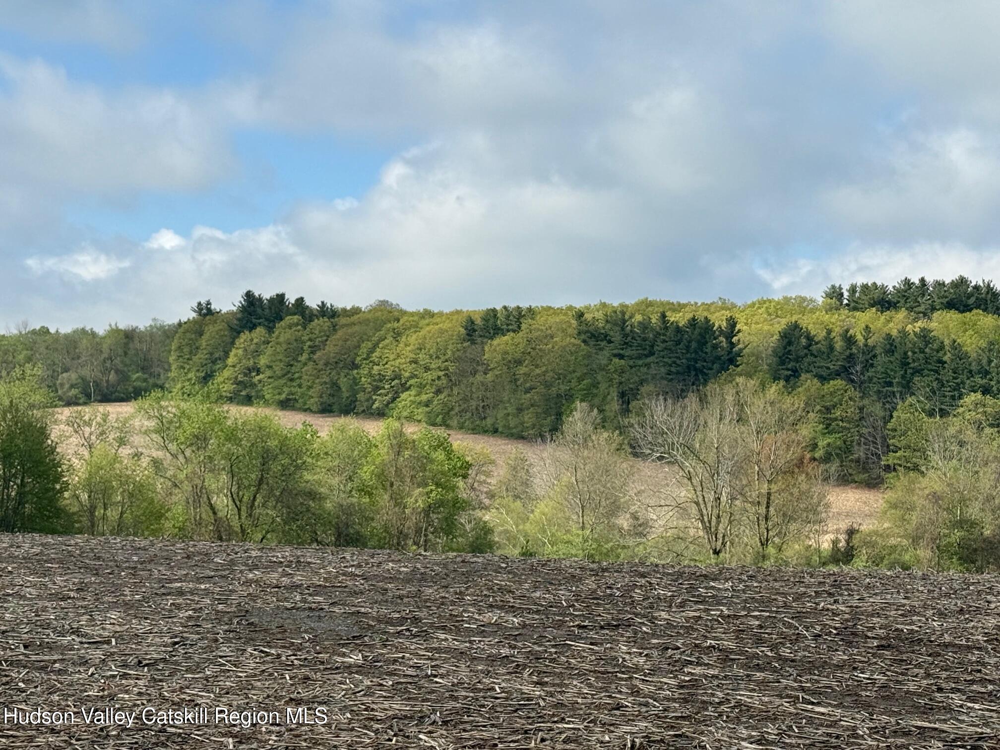 317 Skunks Misery Road Millerton, NY 12546 - Photo 15 of 16 IMG_9496