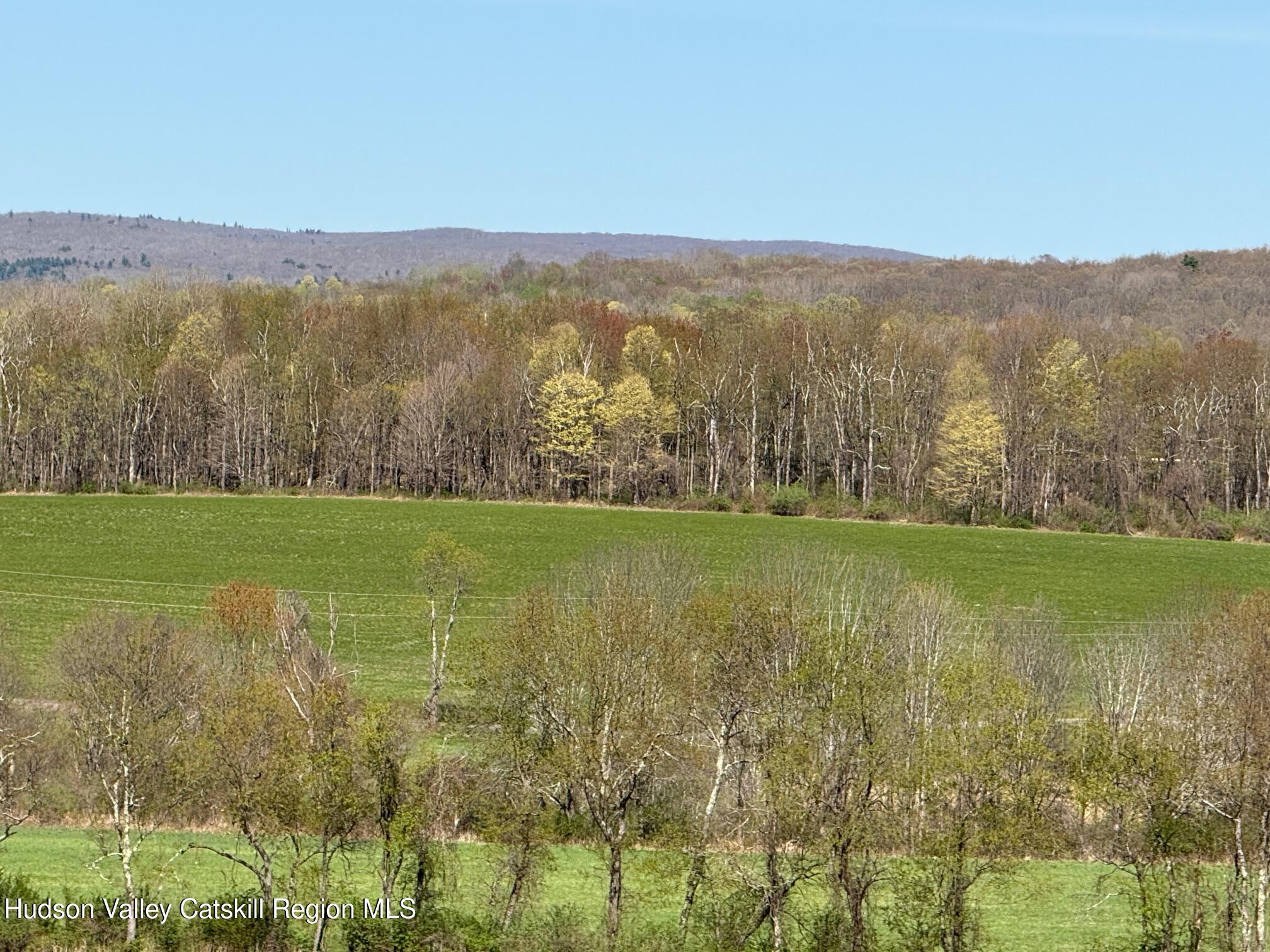 317 Skunks Misery Road Millerton, NY 12546 - Photo 2 of 16 IMG_9370