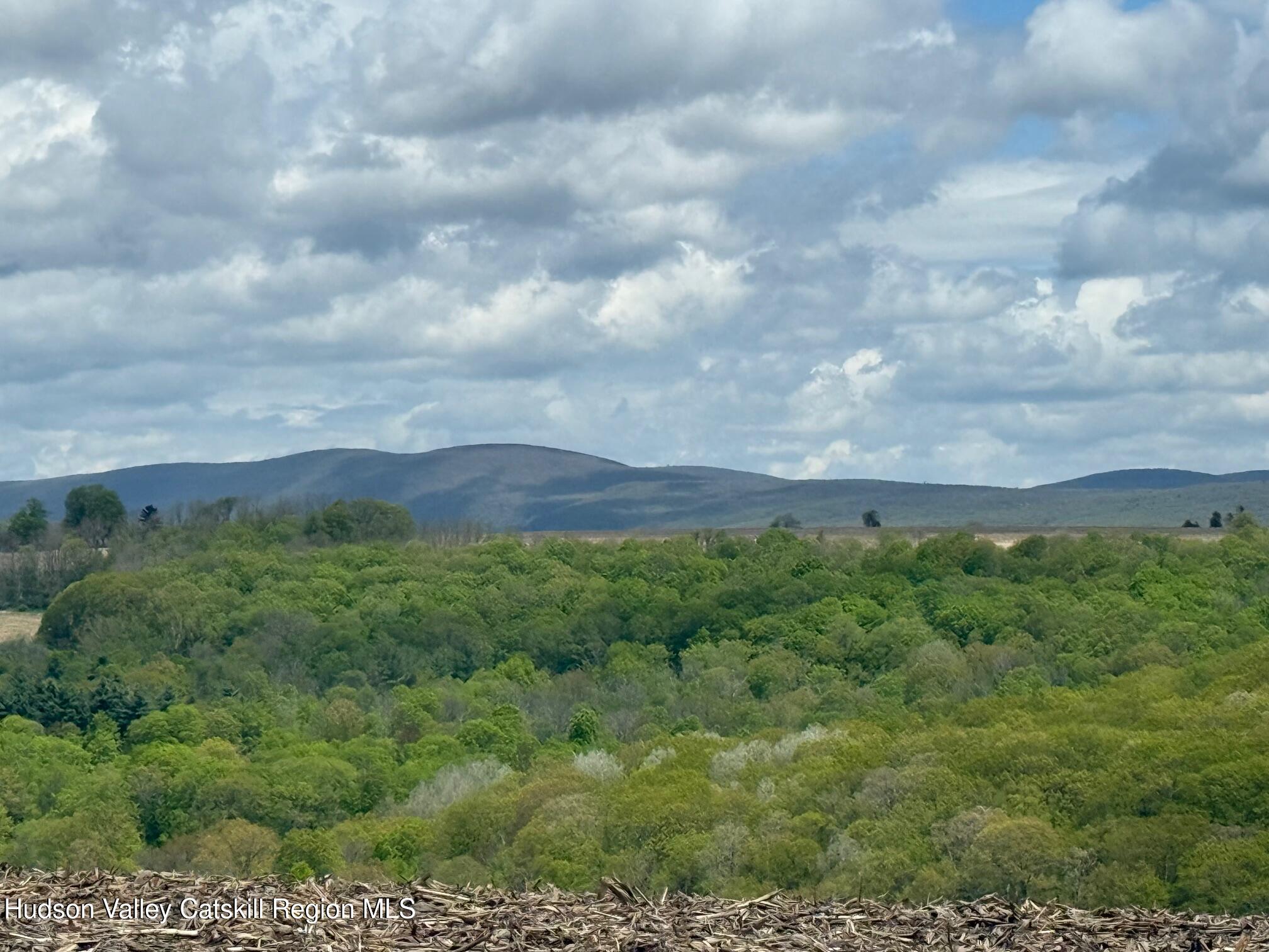 317 Skunks Misery Road Millerton, NY 12546 - Photo 3 of 16 IMG_9505