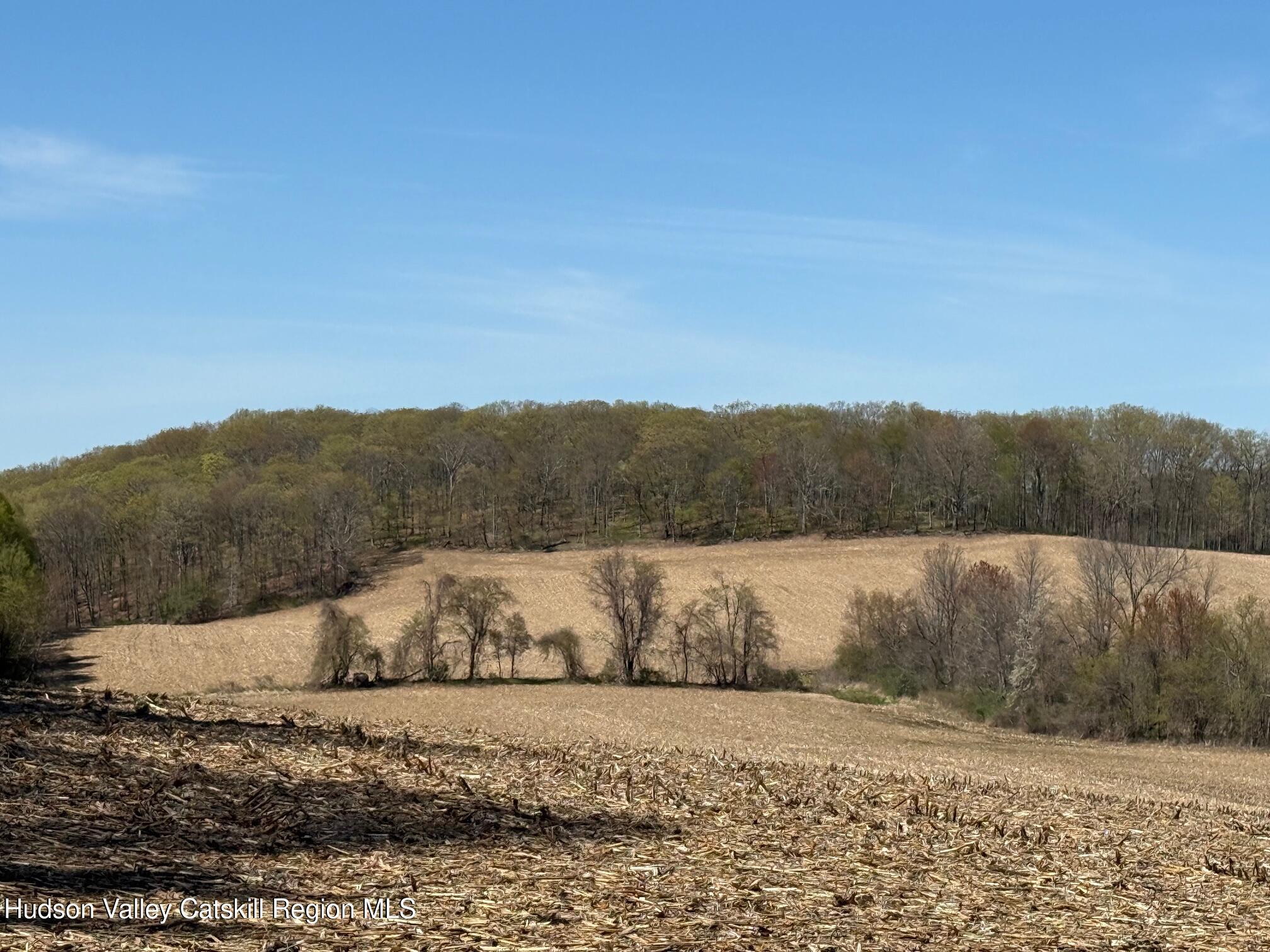 317 Skunks Misery Road Millerton, NY 12546 - Photo 4 of 16 IMG_9365