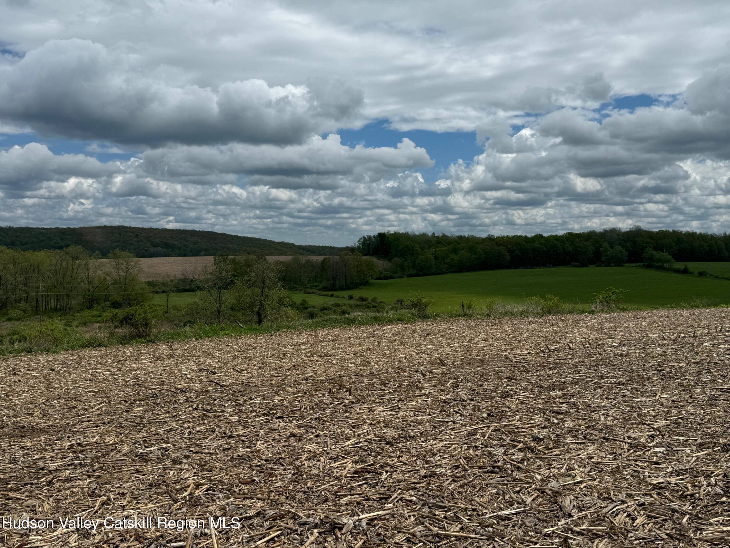 317 Skunks Misery Road Millerton, NY 12546 - Photo 10 of 16 IMG_9524