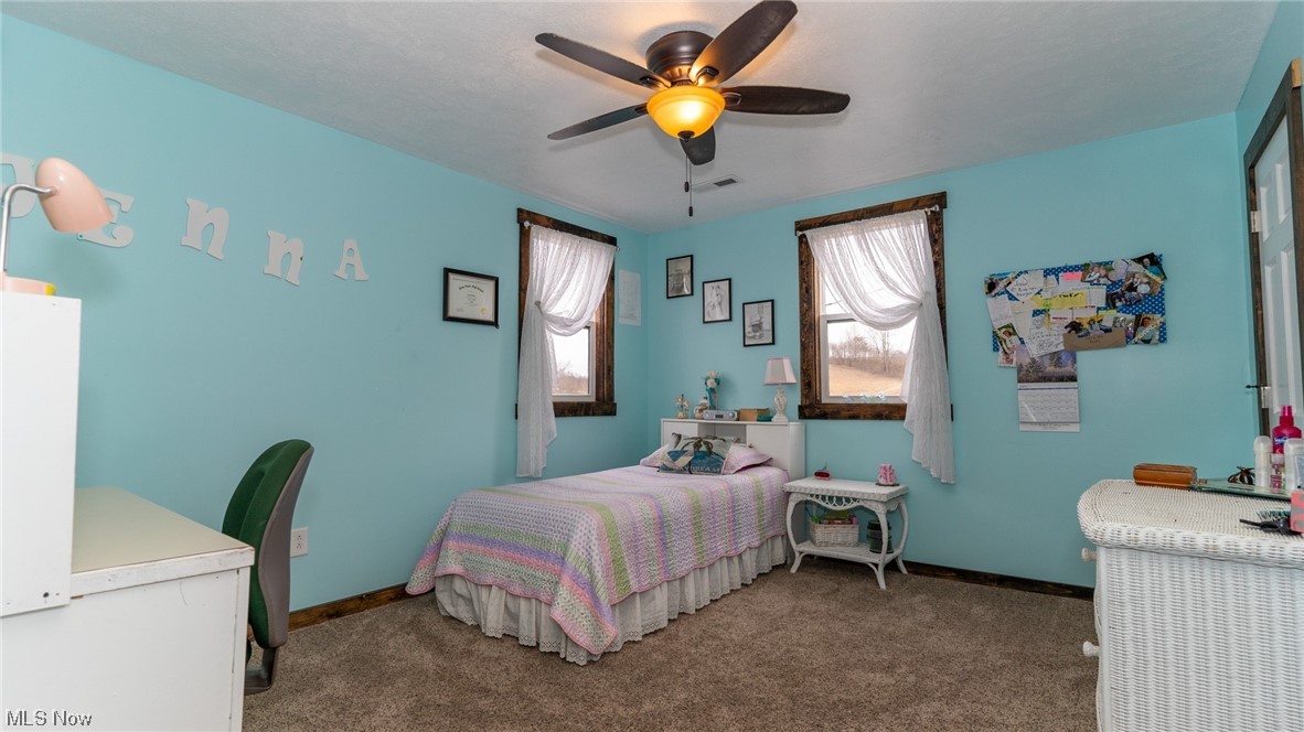 13962 Nickel Plate Road Logan, OH 43138 - Photo 26 of 46 Bedroom with dark carpet and ceiling fan