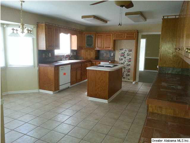 126 Rabbit Run Lane Odenville, AL 35120 - Photo 4 of 9