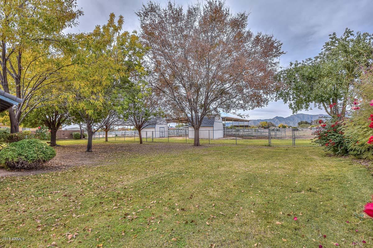 7532 North Citrus Road Waddell, AZ 85355 - Photo 11 of 51 Backyard Views