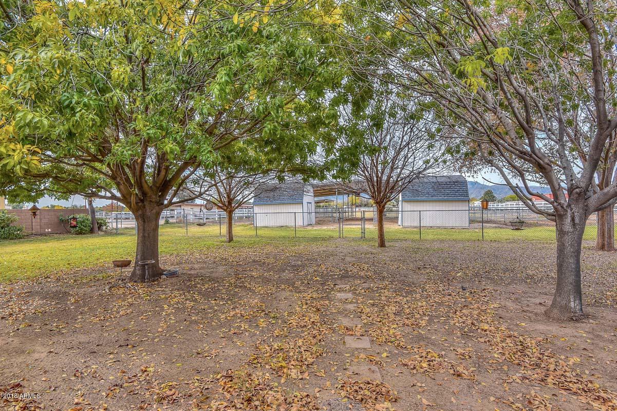 7532 North Citrus Road Waddell, AZ 85355 - Photo 12 of 51 Backyard2