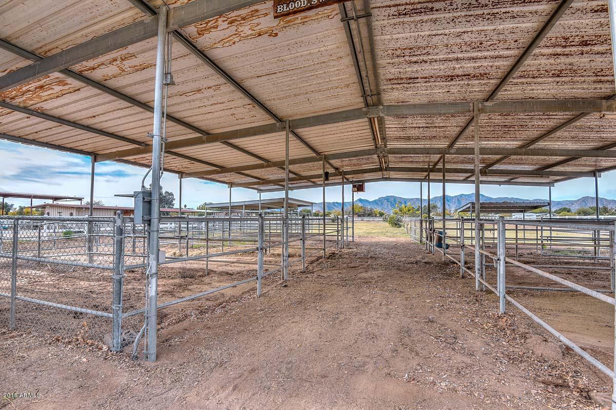 7532 North Citrus Road Waddell, AZ 85355 - Photo 39 of 51 Covered Horse Stalls