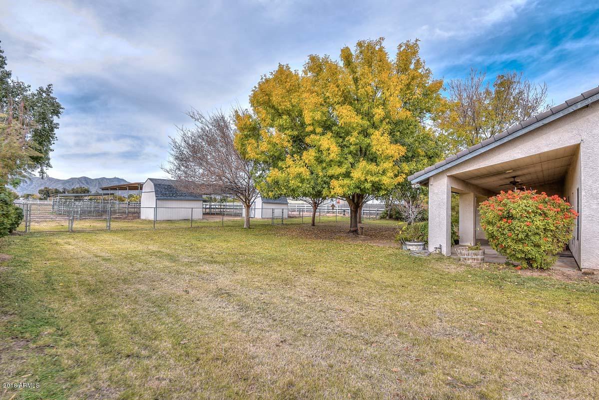 7532 North Citrus Road Waddell, AZ 85355 - Photo 6 of 51 Backyard