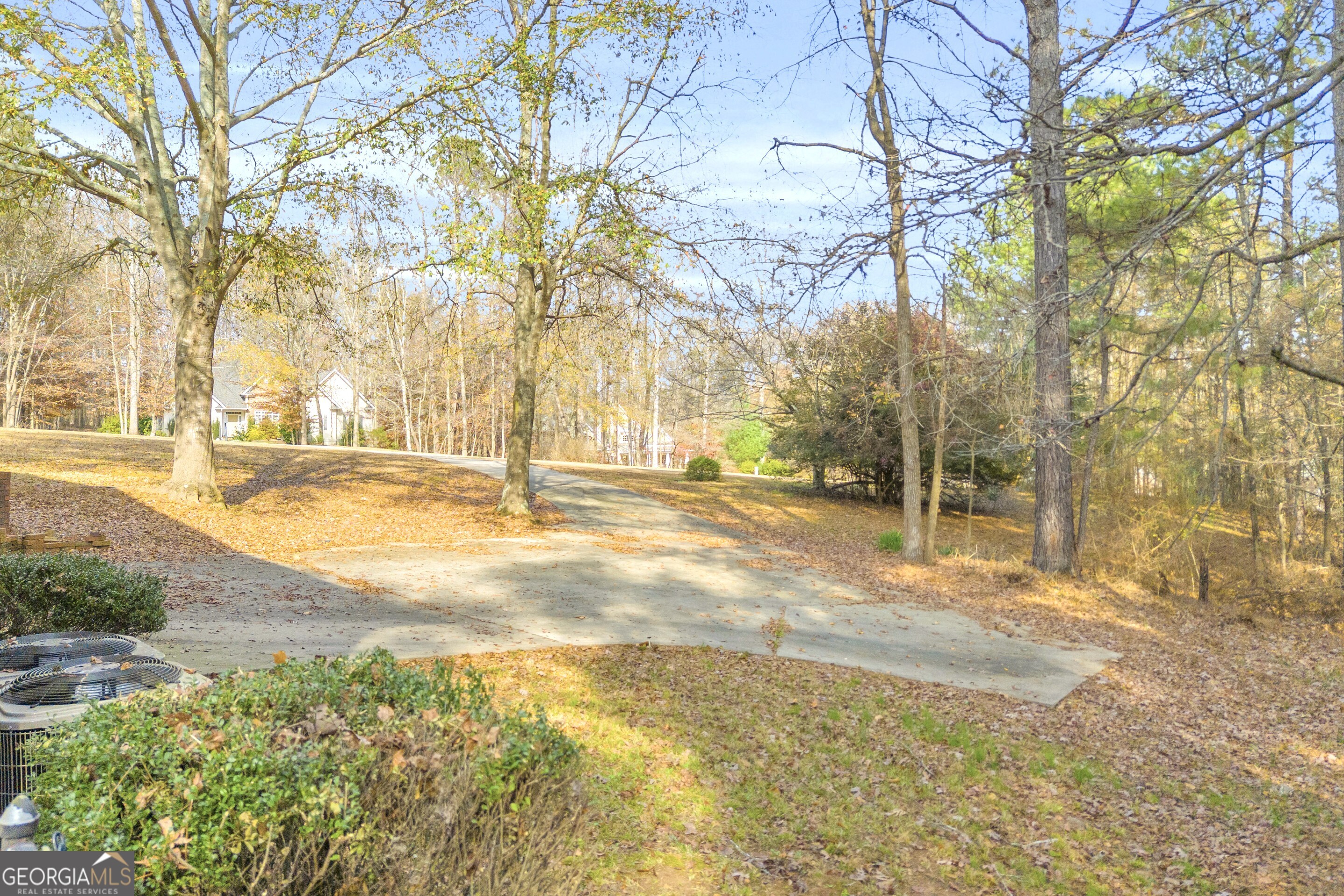 114 River Bluff Hoschton, GA 30548 - Photo 62 of 72 a view of yard with trees