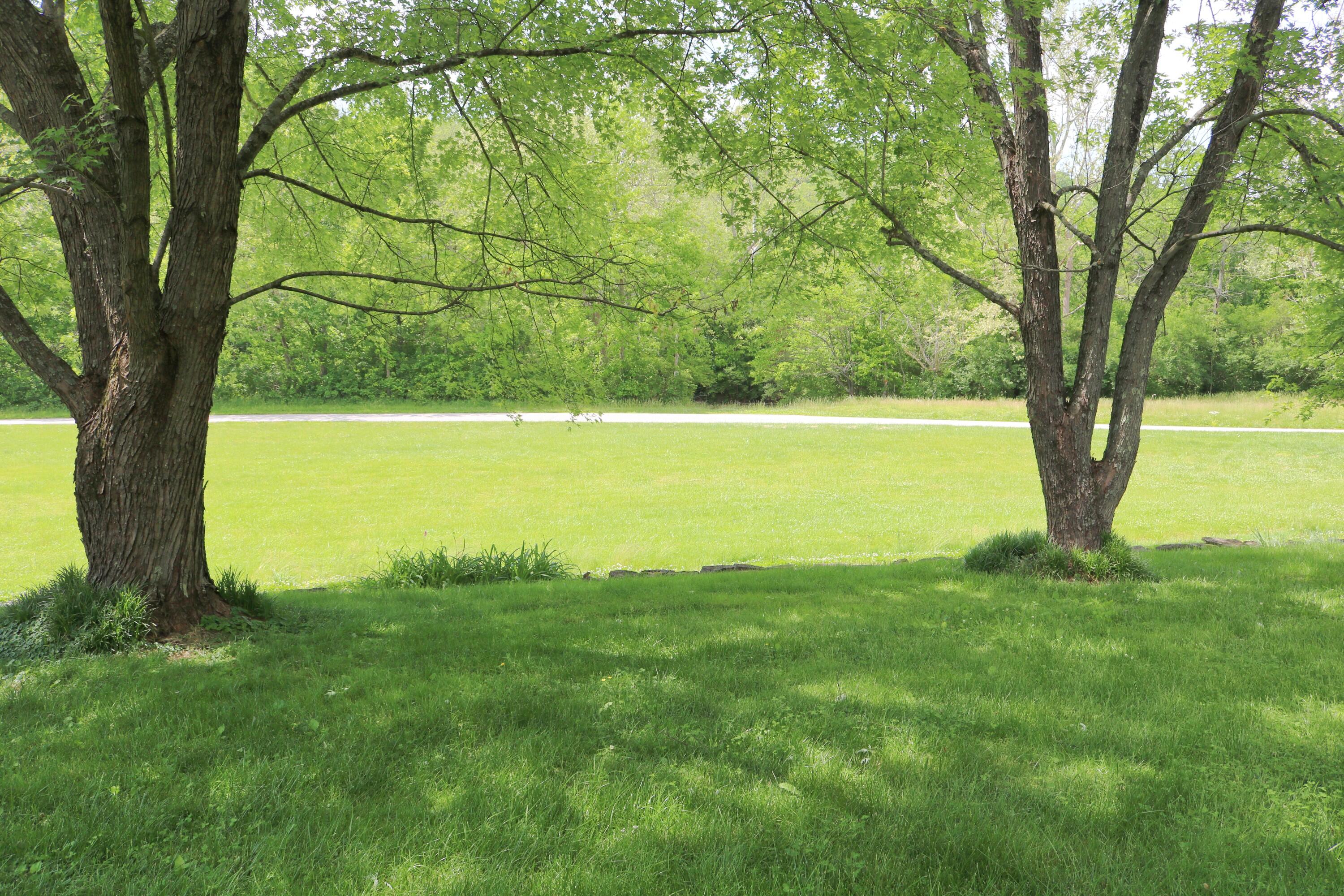 1747 Holts Creek Road Foster, KY 41043 - Photo 26 of 47