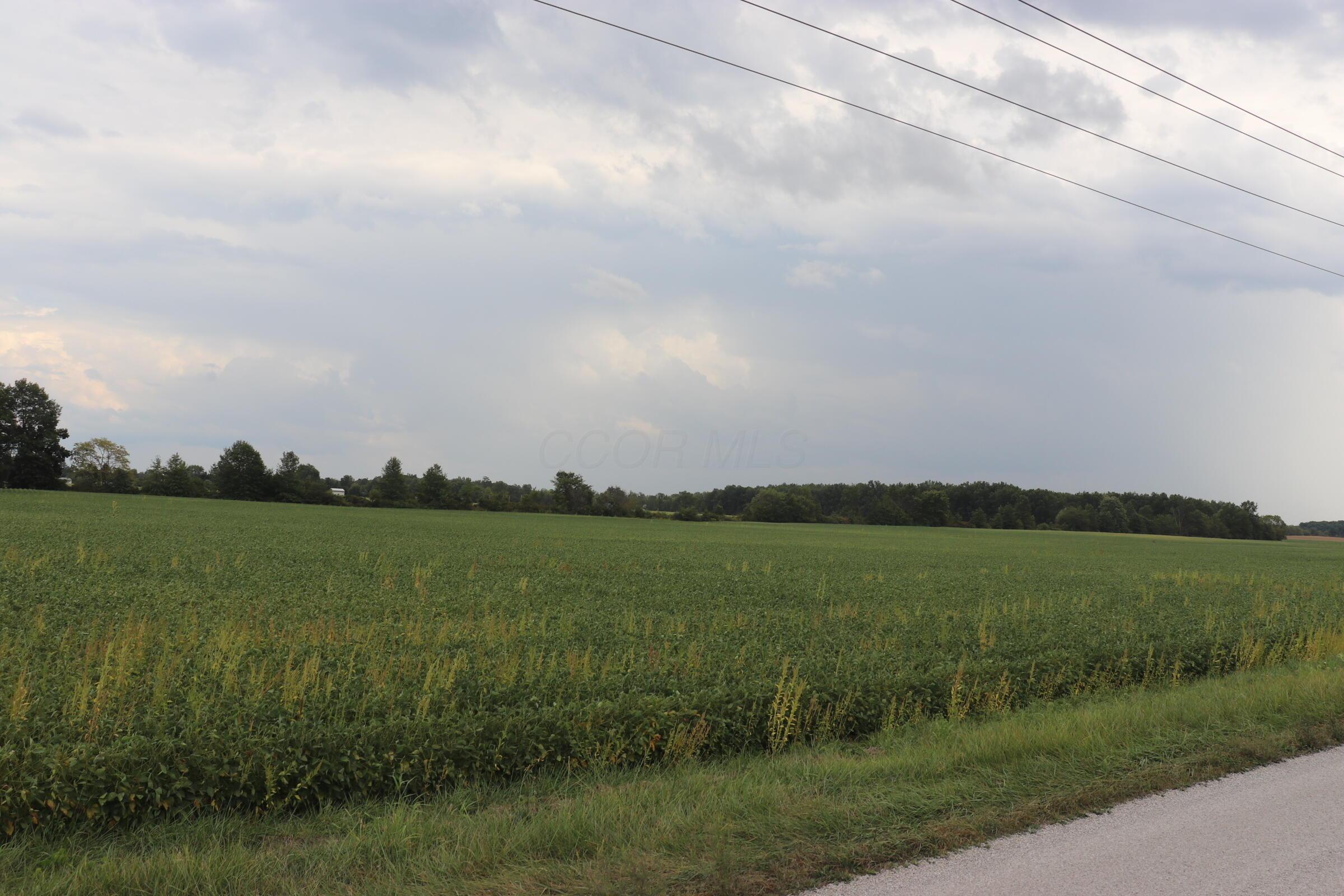 0 Twp Road Marengo, OH 43334 - Photo 5 of 6 IMG_6048