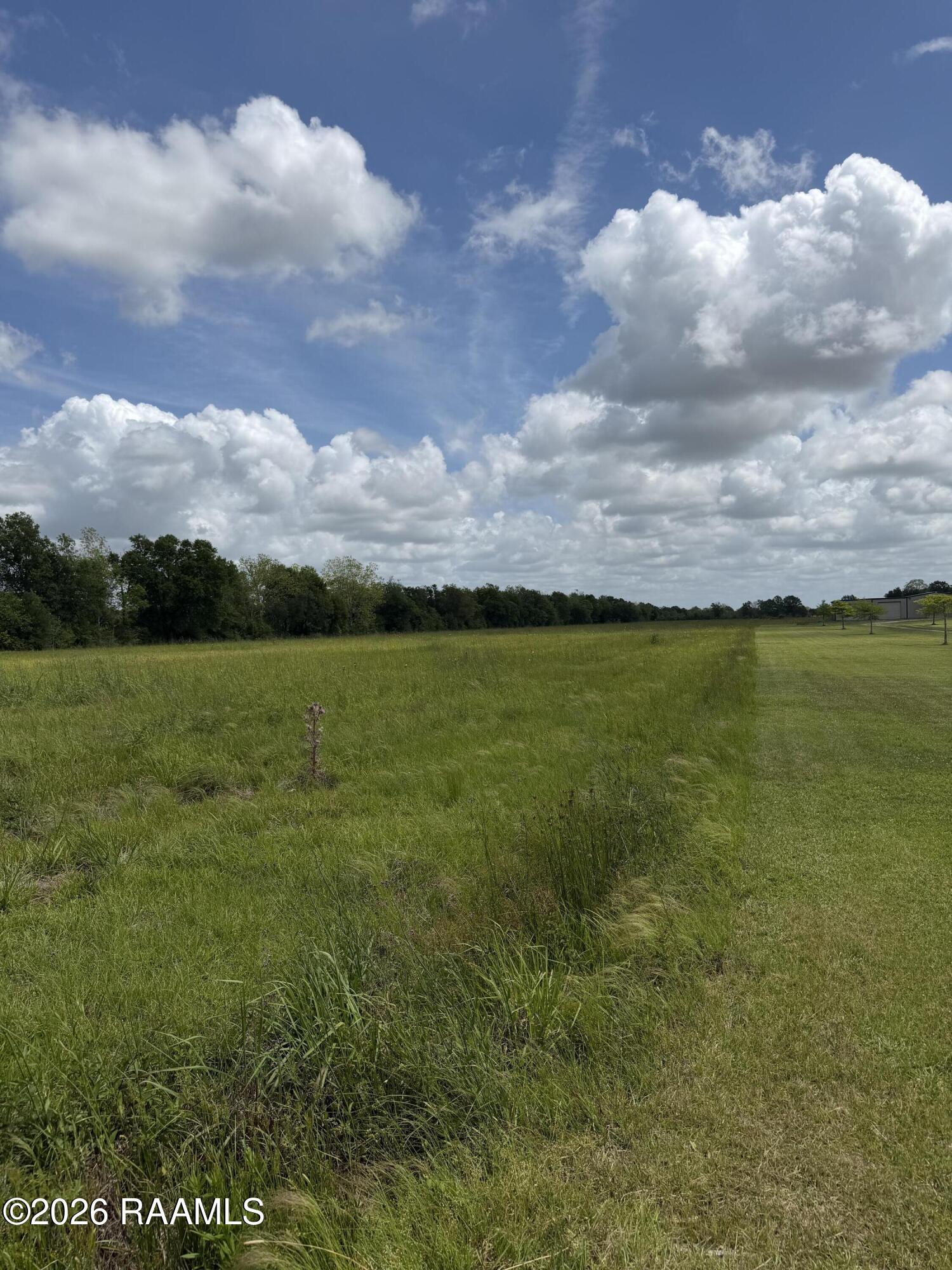 Tbd Roy Foreman Road Maurice, LA 70555 - Photo 1 of 3 IMG_8480