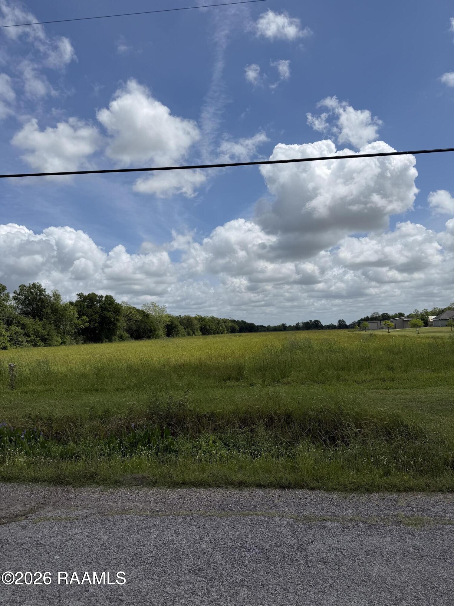 Tbd Roy Foreman Road Maurice, LA 70555 - Photo 3 of 3 IMG_8477