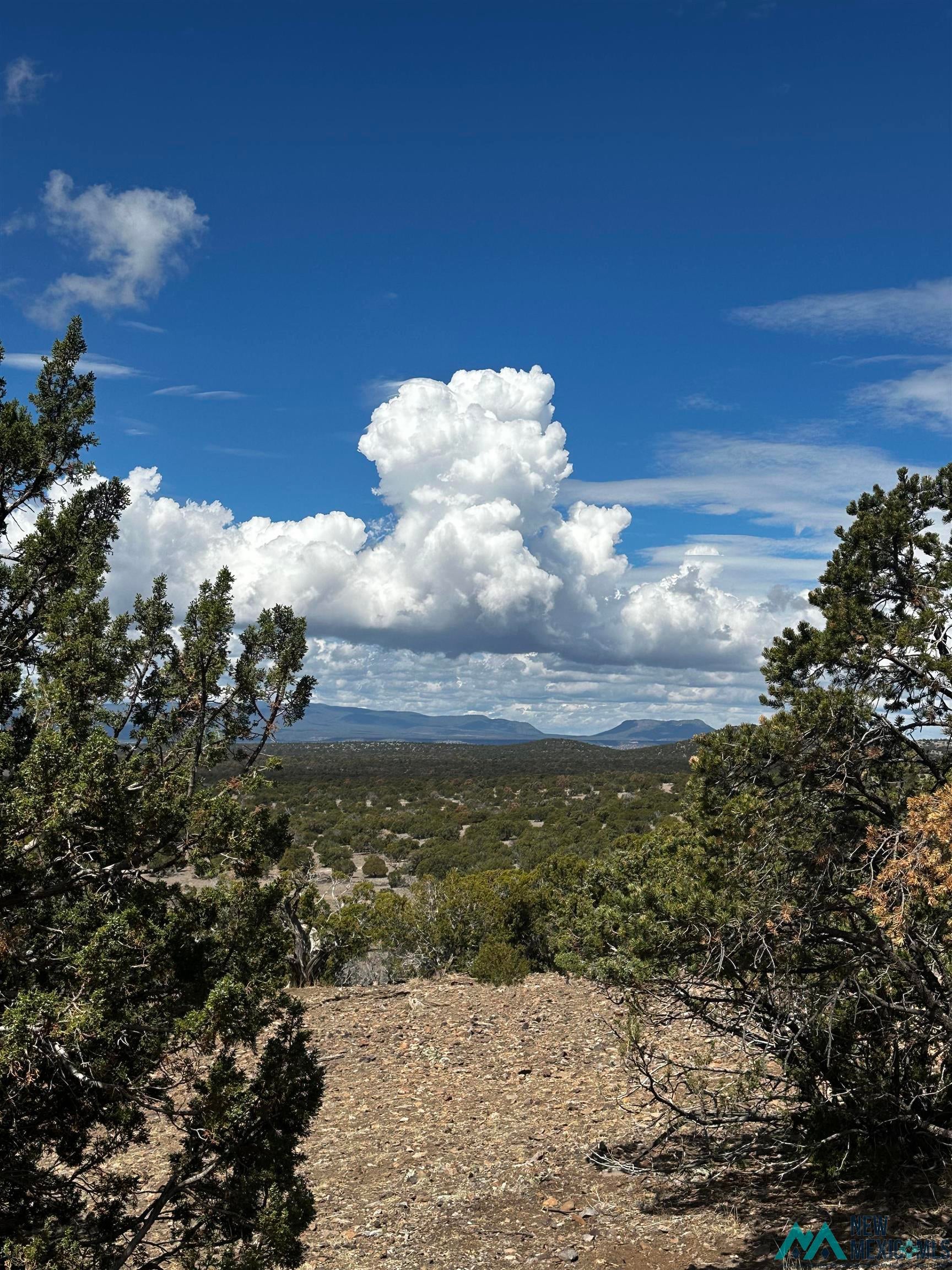 27 Metate Lane Datil, NM 87821 - Photo 43 of 47 Gallery Image 43