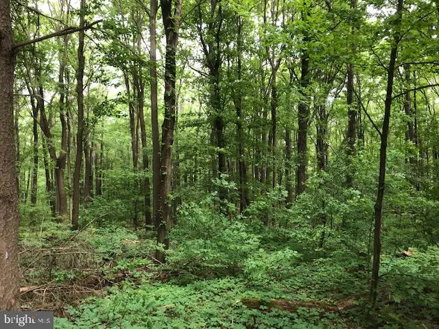 $850,000 | 2903 Chestnut Ridge Road, Grantsville, MD 21536