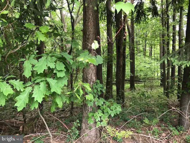 $850,000 | 2903 Chestnut Ridge Road, Grantsville, MD 21536