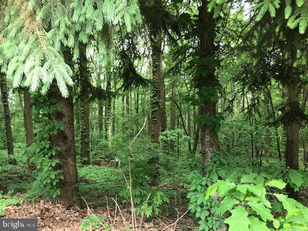 $850,000 | 2903 Chestnut Ridge Road, Grantsville, MD 21536