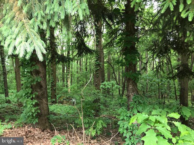 2903 Chestnut Ridge Road Grantsville, MD 21536 - Photo 60 of 62