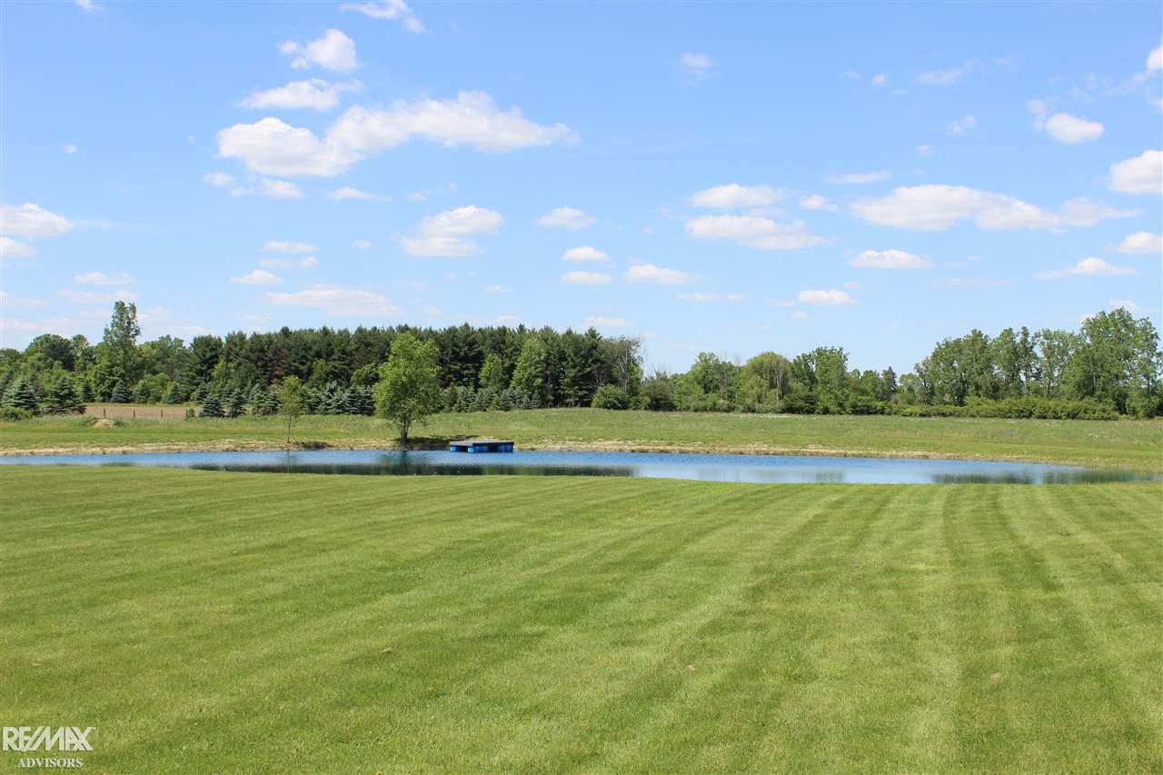10178 Weber Road Columbus, MI 48063 - Photo 5 of 21