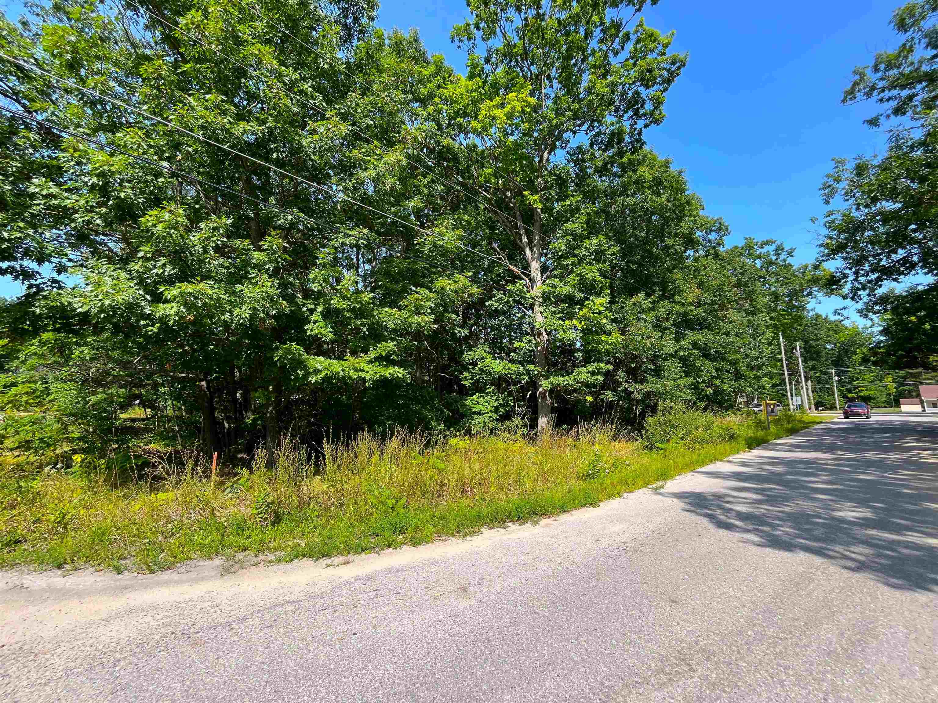 Lot B 3rd Street Interlochen, MI 49643 - Photo 5 of 5