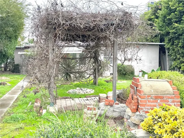 a view of a yard with plants and large trees