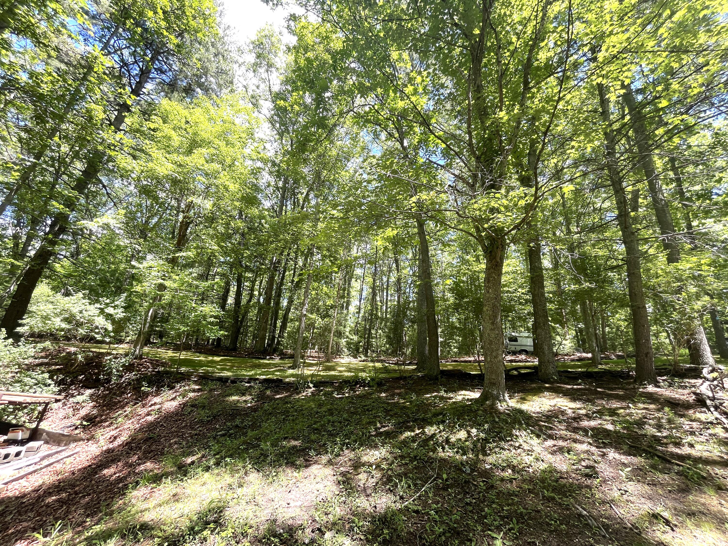 2092 Coleman Cliff Road Frankford, WV 24938 - Photo 26 of 52 Gallery Image 26