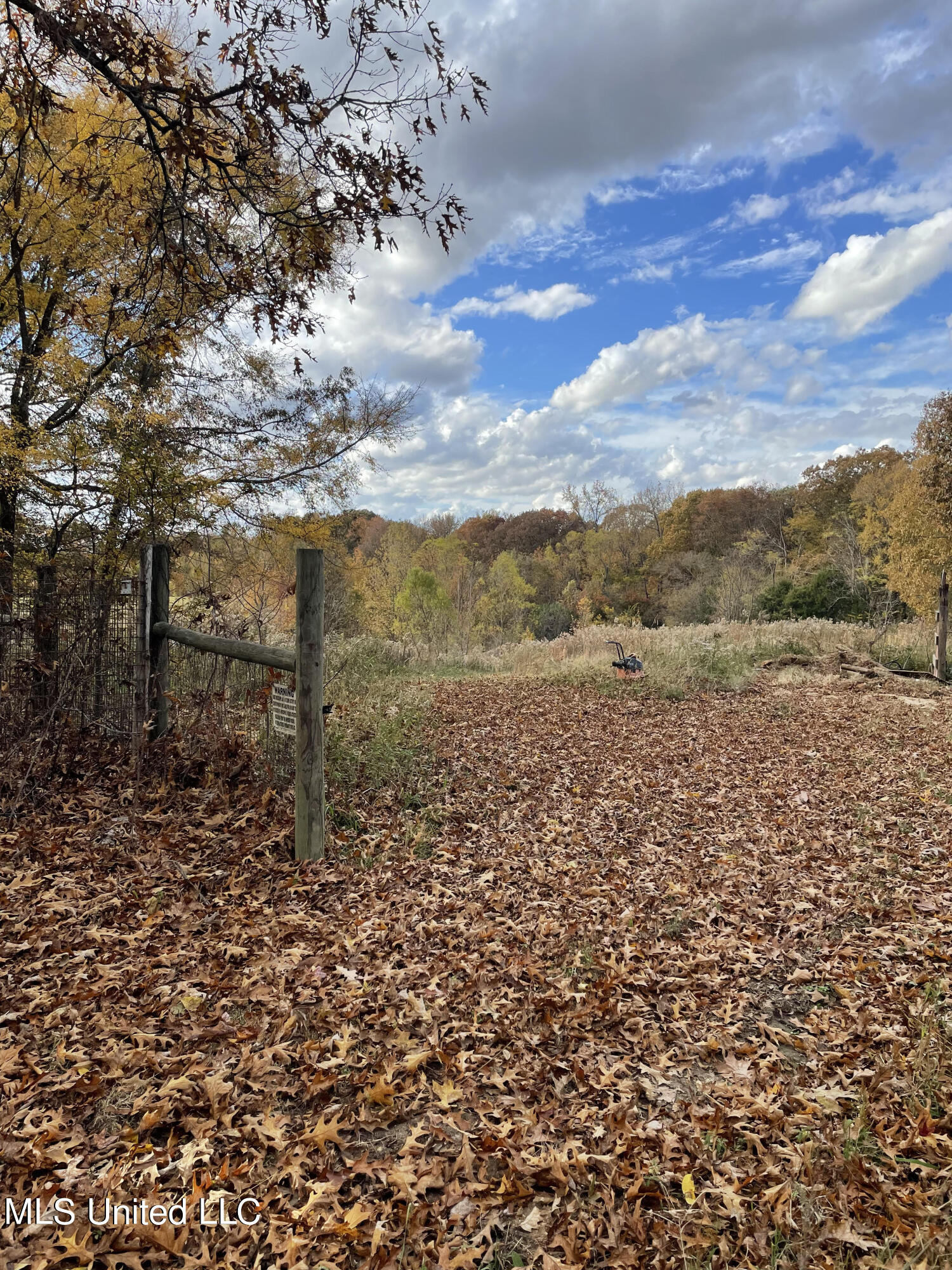 1266 Cypress Corner Road Senatobia, MS 38668 - Photo 11 of 13 Yard entering the pasture