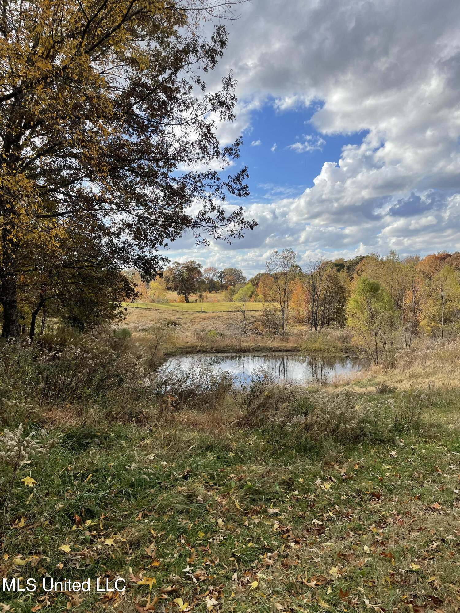 1266 Cypress Corner Road Senatobia, MS 38668 - Photo 13 of 13 Pond