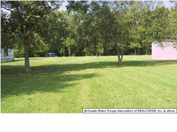 16089 Aikens Road Prairieville, LA 70769 - Photo 1 of 1 Gallery Image 1