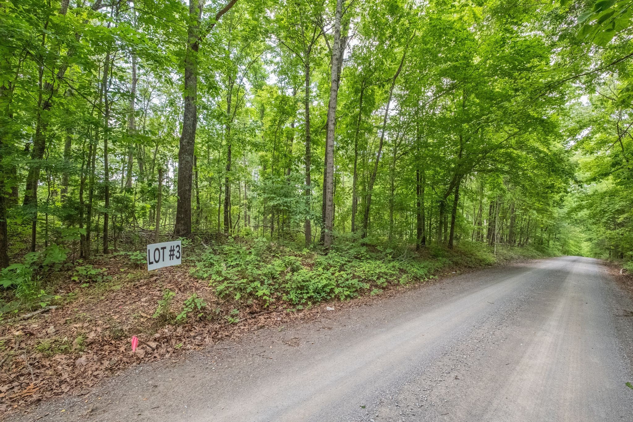 8489 Hoskins Hollow Road Westmoreland, TN 37186 - Photo 14 of 36