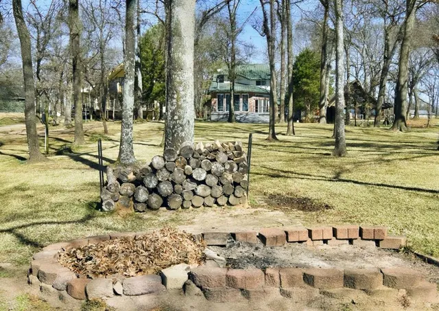 a view of a yard with trees