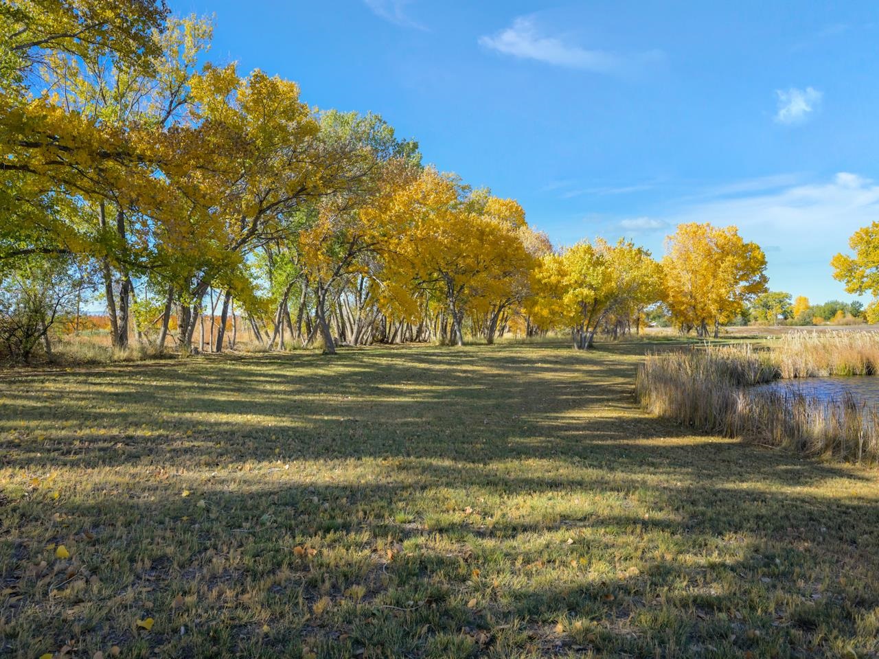 3521 F Road Clifton, CO 81520 - Photo 19 of 42