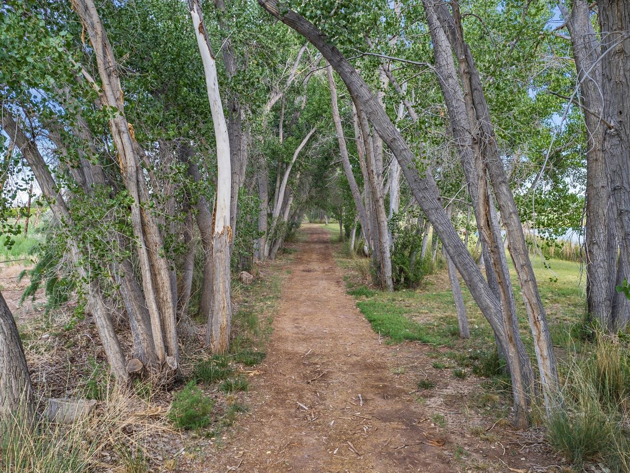 3521 F Road Clifton, CO 81520 - Photo 24 of 42
