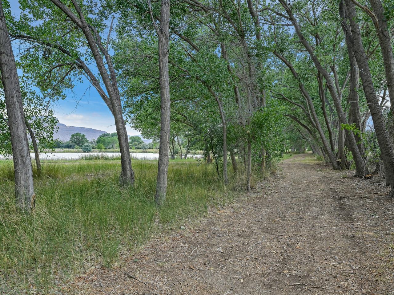 3521 F Road Clifton, CO 81520 - Photo 25 of 42