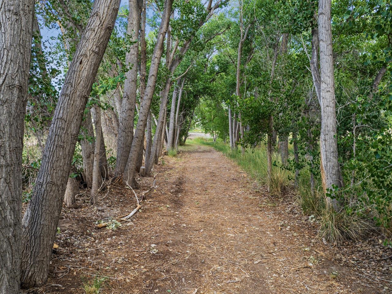 3521 F Road Clifton, CO 81520 - Photo 28 of 42